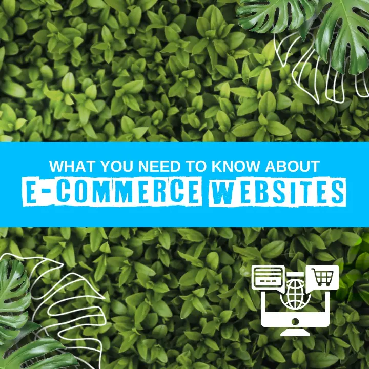 What you need to know about E-commerce websites